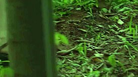 Korejski body intervju kasting iz 2017