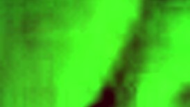 sexy big butt pawg close up tight pussy contractions during solo orgasm masturbation