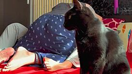 young latina couple pyjama morning sex before uni 🔥😘 parte 1