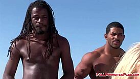 slave girl sucks huge black cocks 😍🍆💦