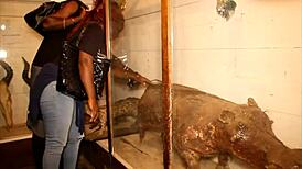 hey tourist ever fucked a mature african publicly in the park?