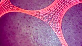 Strippers bend over and ride big black cocks for extra cash tips