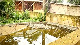 hey tourist ever fucked a mature african publicly in the park?