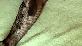 i wake up to hot cum splashing my sexy stocking ass... klaudiaambergirl