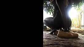 wanna ride this dildo outside on the street girls? 🔥🍆