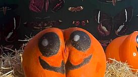 feelin so horny teen pussy stretched by monster cocks double creampie drippin in halloween pumpkin patch