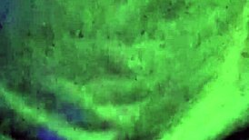 damn ezsosa flashes curvy fat body on bedroom cam