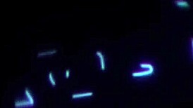 April Olsen Summer Vixen Kiss Trail Leads to Steamy Pussy Licking