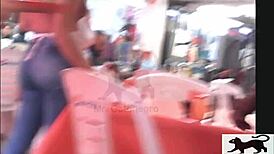 Spying on that street cat prowling for action in the shadows?