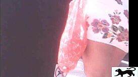 Spying on that street cat prowling for action in the shadows?