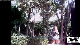 Spying on that street cat prowling for action in the shadows?