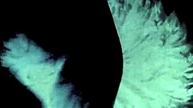 Vintage Silent Films Evoke Retro Antique Charm