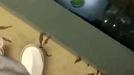 he bends his vietnamese wife over for intense doggy pounding.