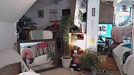 Panties Model Starts Porn Career with Vibrator Orgasm in 2017