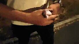 public defi story ep 19 s5 i hook up and fuck stranger outdoors on sex tape