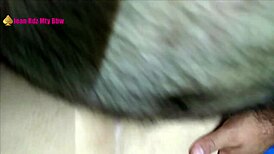 hairy latina wife bends over for macho cuckold doggystyle ass pounding