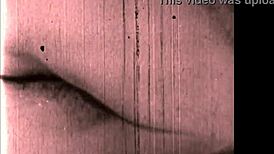 vintage hairy beaver spreads in erotic retro pose