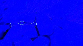 watch this submissive milf housewife slurp cock close-up then gulp every drop down