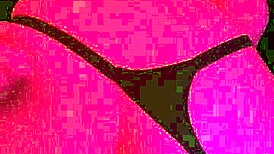 Petite Lingerie Girlfriend Railed Doggystyle with Creampie by Huge Cock