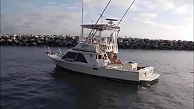 Mysterious brunette bikini babe teases on rocking boat