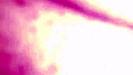 young stud eats out milf's pussy in rio de janeiro spot