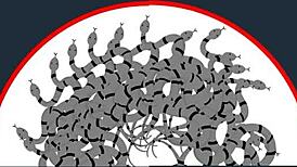 hey little dick, these two kinky blonde latex femdom mistresses handcuff slap kick your small cock extreme bdsm style?