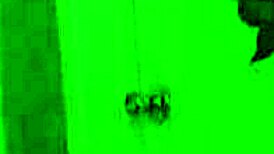 Carrie Ann And Casey Two Milf Moms Fuck Lesbians In Stockings Lingerie