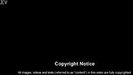 Marie Luv Gapes Asshole Boldly With Huge Toys Quick