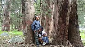 Old Peasant Ravages Young College Girl's Tight Pussy in Field