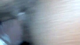 Suggestive Ebony Milf Stripper Shakes Big Ass Nasty