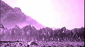 i can't get enough of this vintage hairy pussy outdoors with her pooch