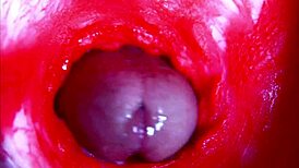 omg extreme close-up... my head inside her wet pregnant pussy asmr ughh