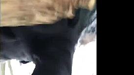 masked fuck toy bent over getting pounded outdoors 😈 public doggystyle creampie