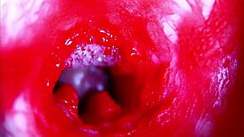 omg extreme close-up... my head inside her wet pregnant pussy asmr ughh