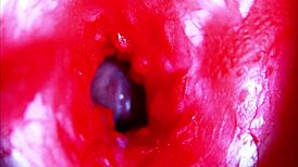 omg extreme close-up... my head inside her wet pregnant pussy asmr ughh