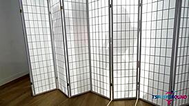 Two Shemale Belly Dancers Ride Dildos and Fuck Asses in Crossdressing Orgy