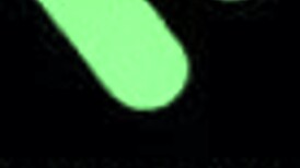 Valentine's Day he nuts deep in my tight asshole!