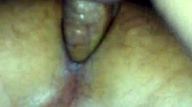 amateur desires unleash forbidden homemade passion