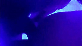 slut creams dripping on monster cock doggystyle bent over