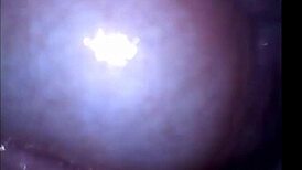 imagine cumming inside her pulsing vagina on secretfriends