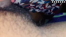 Mira How I Cum Papi, Pure Delight