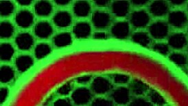 cosplay chick rome major rips clothes teases licks her big ass pussy with monster bbc