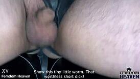 double strap-on goddesses wreck slave asses 😈🍑💦