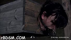 Bound Babes Suck Wet Cocks In BDSM Frenzy