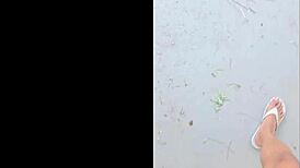 imagine giant black feet stomping tiny things in garden yard tall outdoor fetish view from below 18+