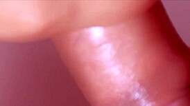 young stepmom mommy sucks cock deep in close-up blowjob action