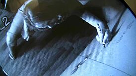 Aria Austin Sucks Hung Cocks Through Gloryhole Facial Cumshot Frenzy