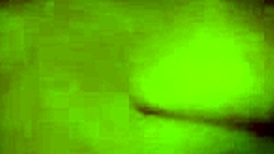 my dick sucking vixen slurps sloppy on cock begging for more loads