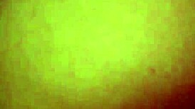 Mexican flaca moans loud tight pussy fucked hard