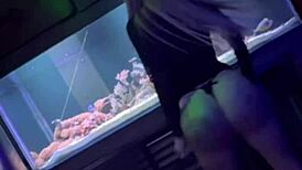 swinger house visit turns into brutal anal pounding by huge cocks